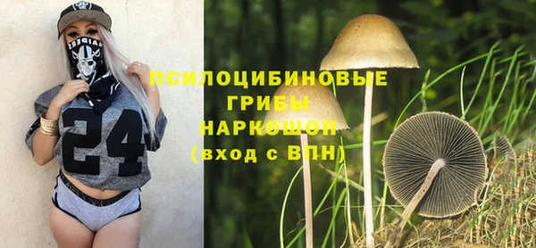 эйфоретик Алексеевка