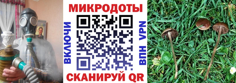 Галлюциногенные грибы Psilocybe  kraken как войти  Болхов  цены  